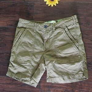ANTHROPOLOGIE THE WONDERER GREEN SHORTS 💚